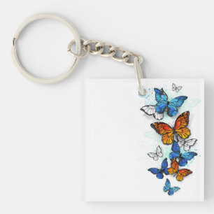 Llavero Morfo y monarca de las mariposas voladoras