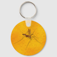 Mosquito en la prehistoria de la réplica de fósile
