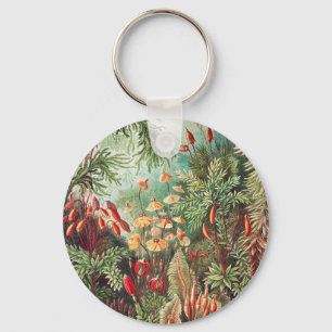 Llavero Mosses, muscinae Laubmoose por Ernst Haeckel