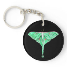 Moth Lunar Verde Ilustrado