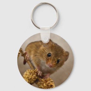 Llavero Mousie Keyring