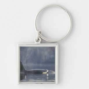 Llavero Mujer adulta Orca Whale Orcinus Orca), Puget