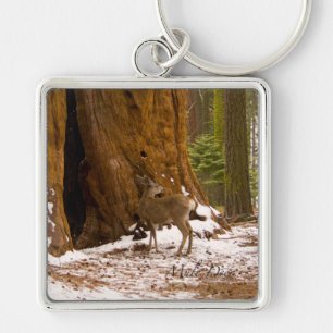 Llavero Mule Deer