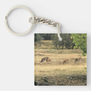 Llavero Mule Deer en un campo, Joseph, Oregón