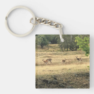 Llavero Mule Deer en un campo, Joseph, Oregón