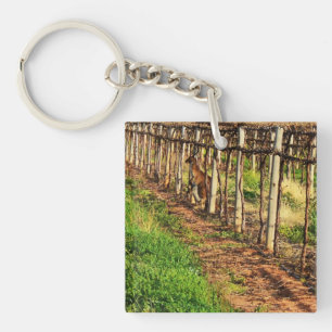 Llavero Mummy Y Baby Kangaroo Australiano,