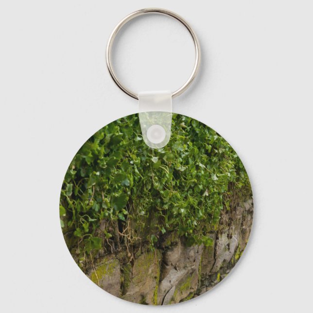 Llavero Muro De Ivy (Anverso)