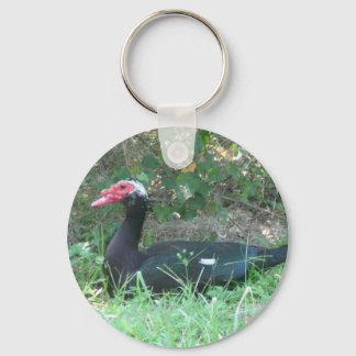 Llavero Muscovy Duck