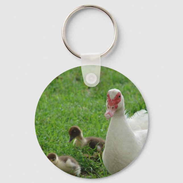 Llavero Muscovy Hen Y Ducklings (Anverso)