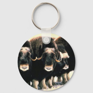 Llavero Musk Oxen