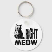 ¡MUY BIEN! Funny Evil Kitty
