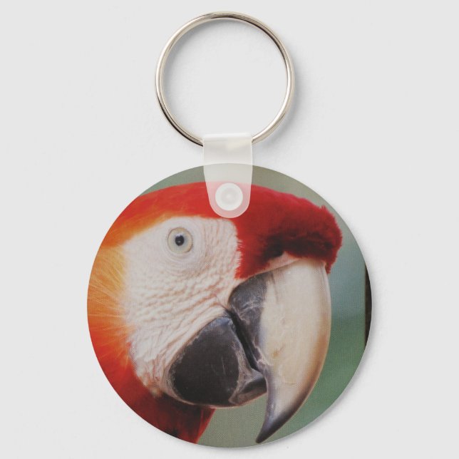 Llavero Muy Guay Parrot Keychain (Anverso)