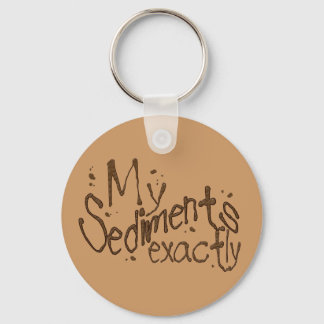 Llavero My Sediments Exactamente Keychain