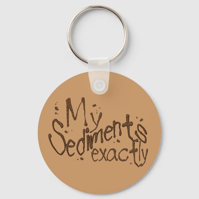 Llavero My Sediments Exactamente Keychain (Anverso)