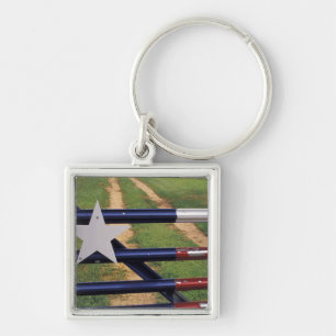 Llavero N.A., EE. UU., Texas, lago Buchanan, bandera de Te