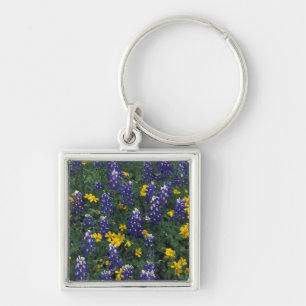 Llavero N.A, EE. UU., Texas, Marble Falls, Blue Bonnets