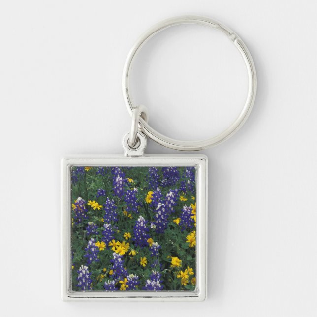 Llavero N.A, EE. UU., Texas, Marble Falls, Blue Bonnets (Frente)