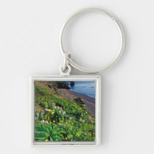 Llavero NA, EE. UU., Alaska, Islas Semidi, Flores silvestr