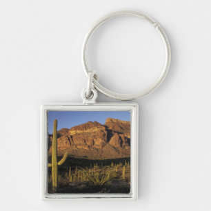 Llavero NA, EE. UU., Arizona. Organ Pipe Cactus National 2