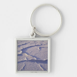 Llavero NA, EE. UU., California. Death Valley National