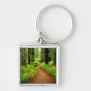 Llavero NA, EE. UU., California, Jedediah Smith Redwoods