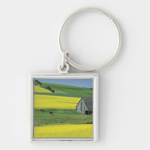 Llavero NA, EE. UU., Idaho, cerca de Potlatch, Canola y vi