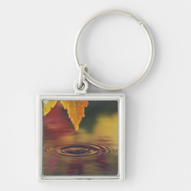 Llavero NA, EE.UU., Pacífico noroeste (Frente)