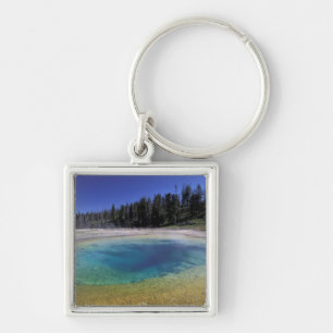 Llavero NA, EE. UU., Wyoming, Parque Nacional Yellowstone.