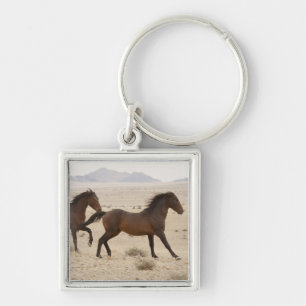 Llavero Namibia, Aus. Caballos salvajes corriendo en el Na