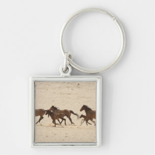 Llavero Namibia, Aus. Grupo de caballos salvajes corriendo
