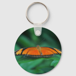 Llavero Naranja brillante y mariposa negra en hoja