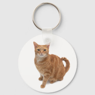 Llavero Naranja Cat Standing
