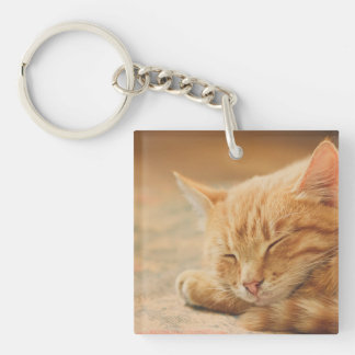 Llavero Naranja durmiente gato tabby