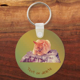 Llavero Naranja durmiente Tabby gato animal personalizado