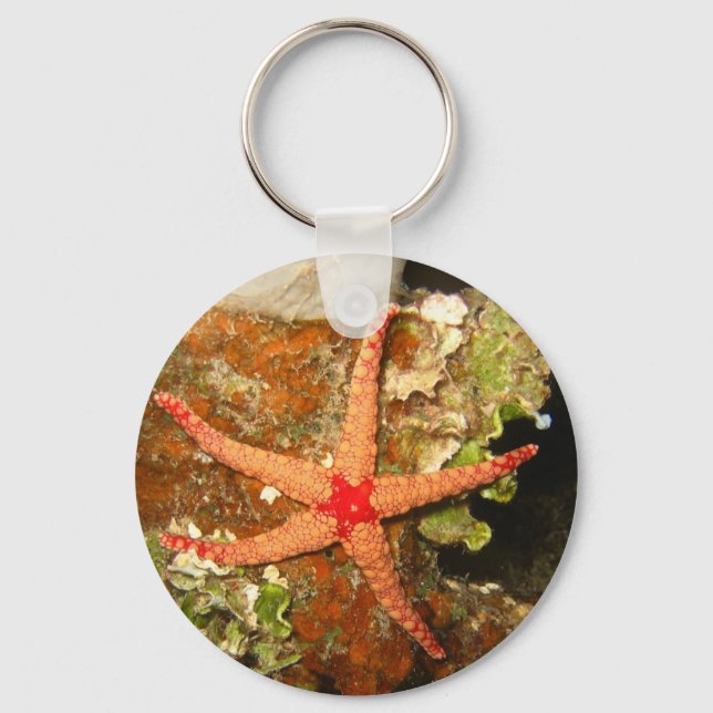 Llavero Naranja Starfish (Anverso)