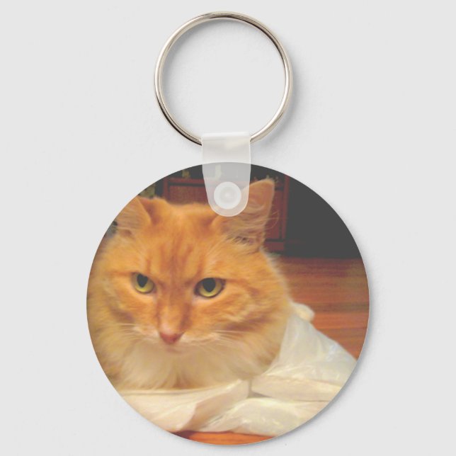 Llavero Naranja Tabby (Anverso)