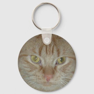 Llavero Naranja Tabby Cat