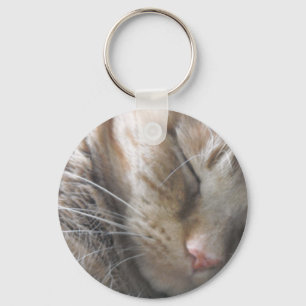 Llavero Naranja Tabby Cat
