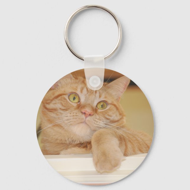 Llavero Naranja Tabby Cat (Anverso)