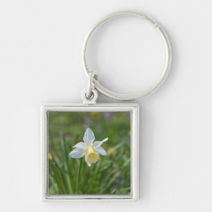 Llavero Narciso