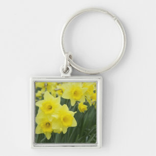 Llavero Narcisos RF)
