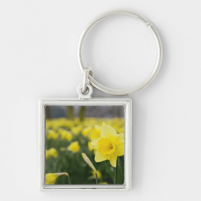 Llavero Narcisos (RF) (Frente)