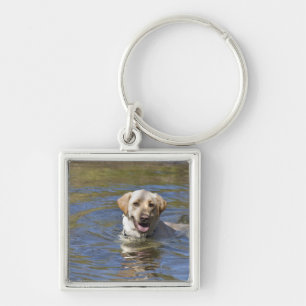 Llavero Natación del perro