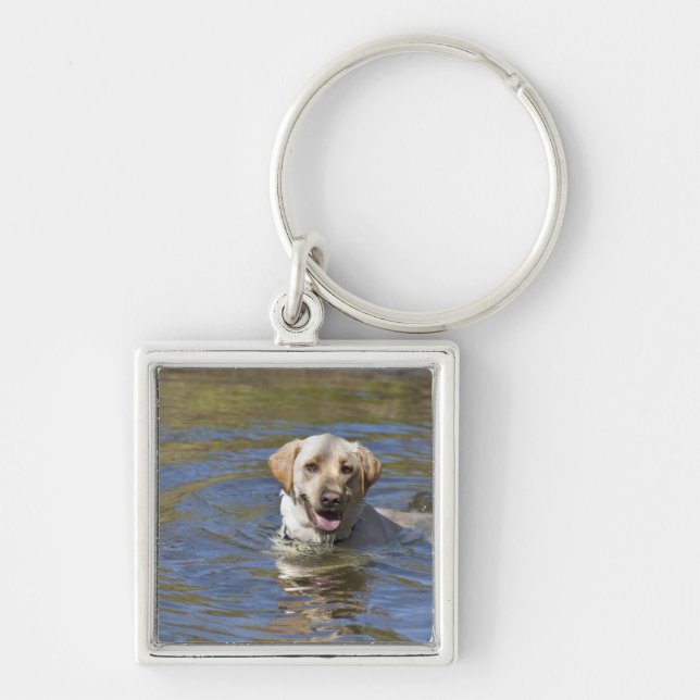 Llavero Natación del perro (Frente)