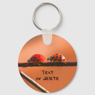 Llavero Naturaleza de los Buddies de Ladybug Personalizada