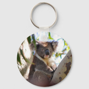 Llavero Naturaleza del destino de Aussi de los osos de