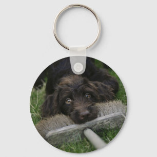 Llavero Naughty Labradoodle