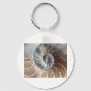 Llavero Nautilus interior