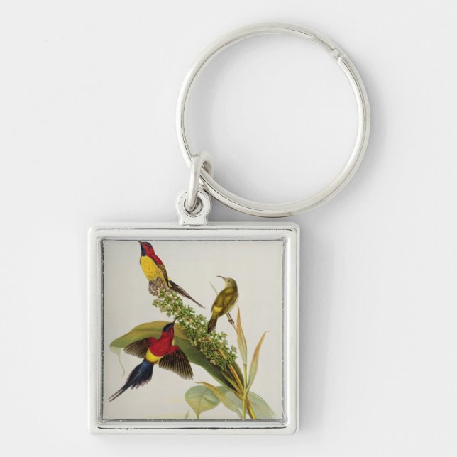 Llavero Nectarinia Gouldae (Frente)