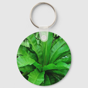 Llavero Nest Fern de pájaro